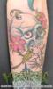 forearm